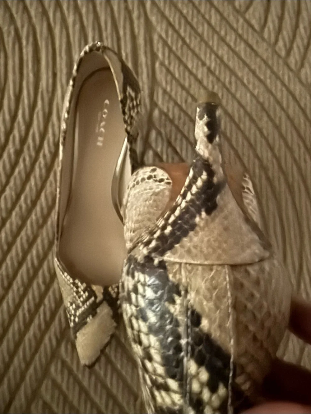 VTG COACH Snakeskin kitten heel pumps.  7.5. GREAT CONDITION